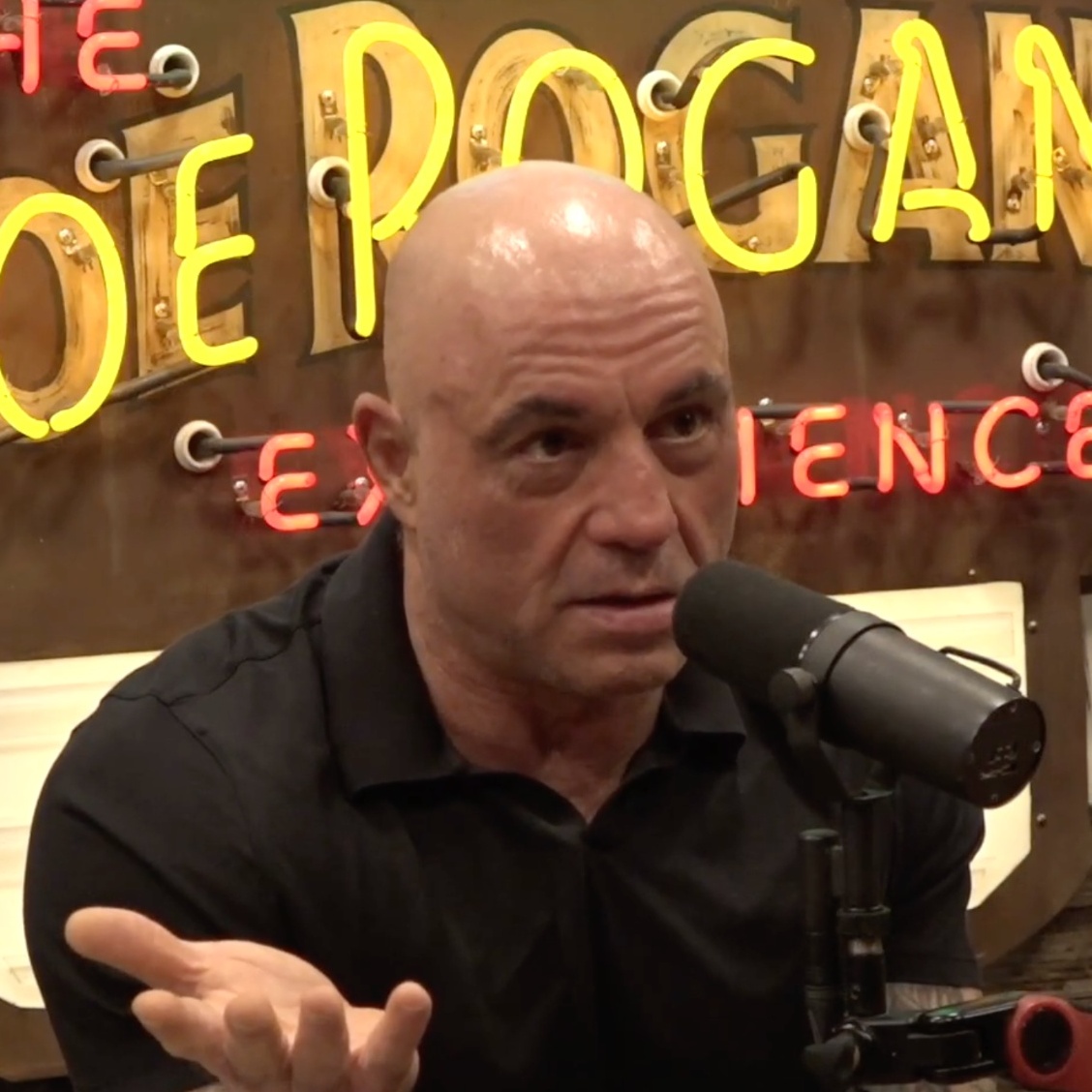 Canadian politician Pierre Poilievre speaking on the Joe Rogan Experience podcast.