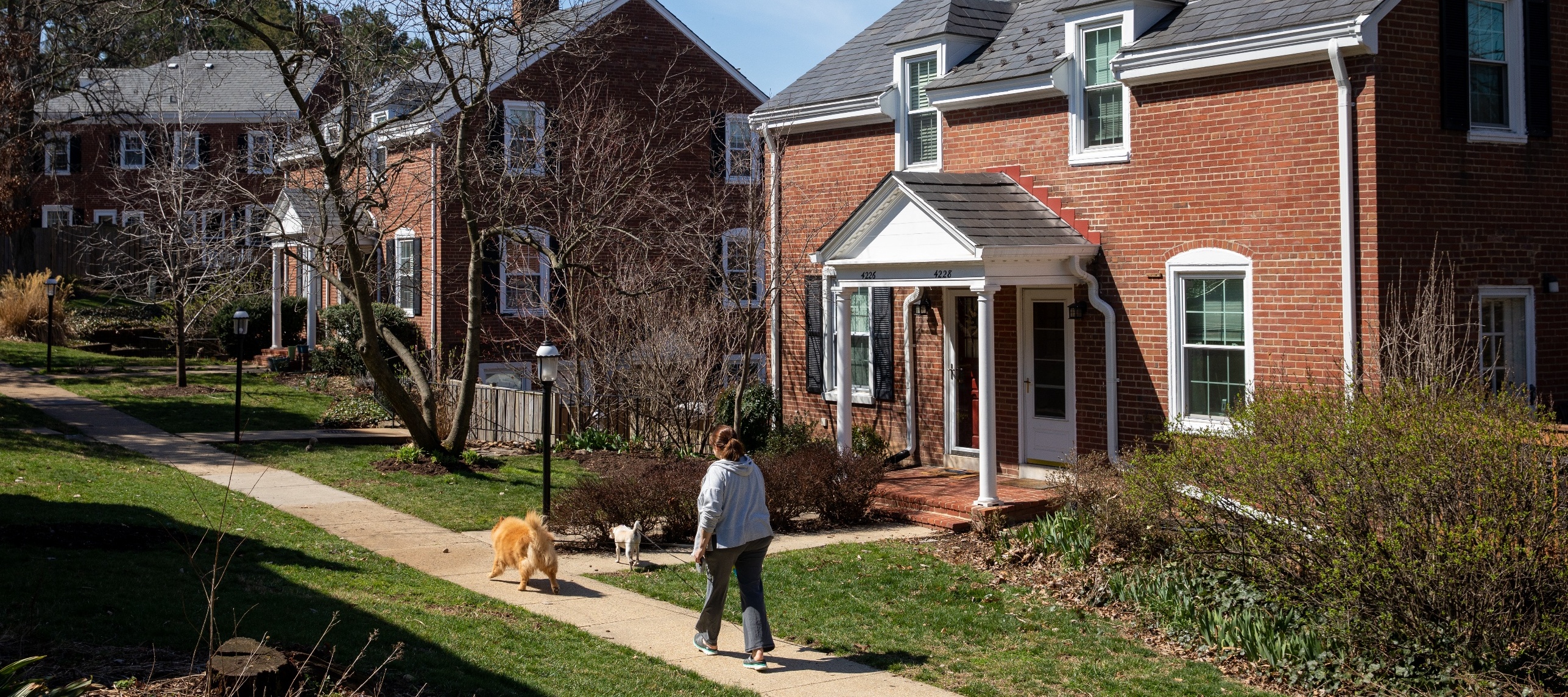 A woman walks her dogs in Fairlington Green, a part of the Fairlington neighborhood of Arlington, Virginia.