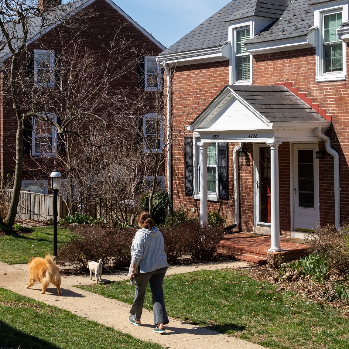 A woman walks her dogs in Fairlington Green, a part of the Fairlington neighborhood of Arlington, Virginia.