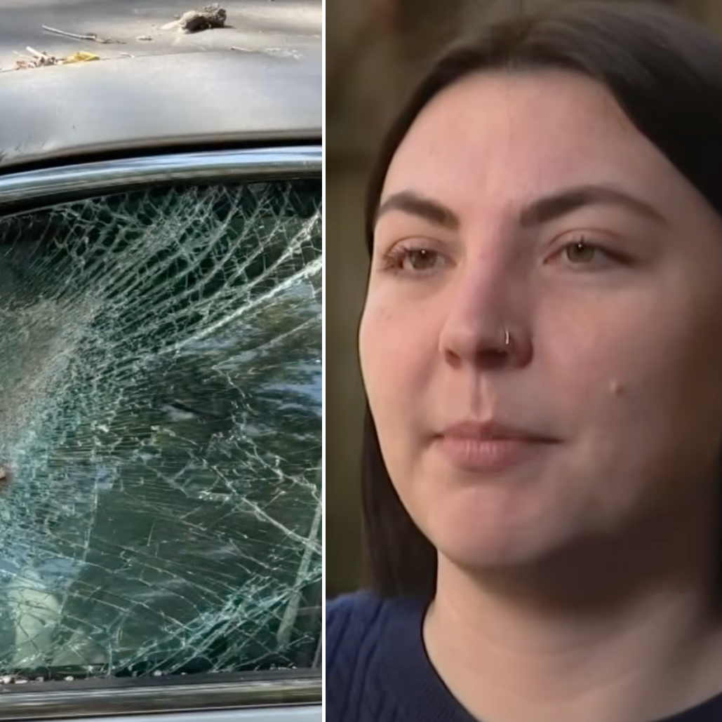 Kyra Puetz is stunned the City of Chicago won't pay for damage that a city-owned pole clearly did.