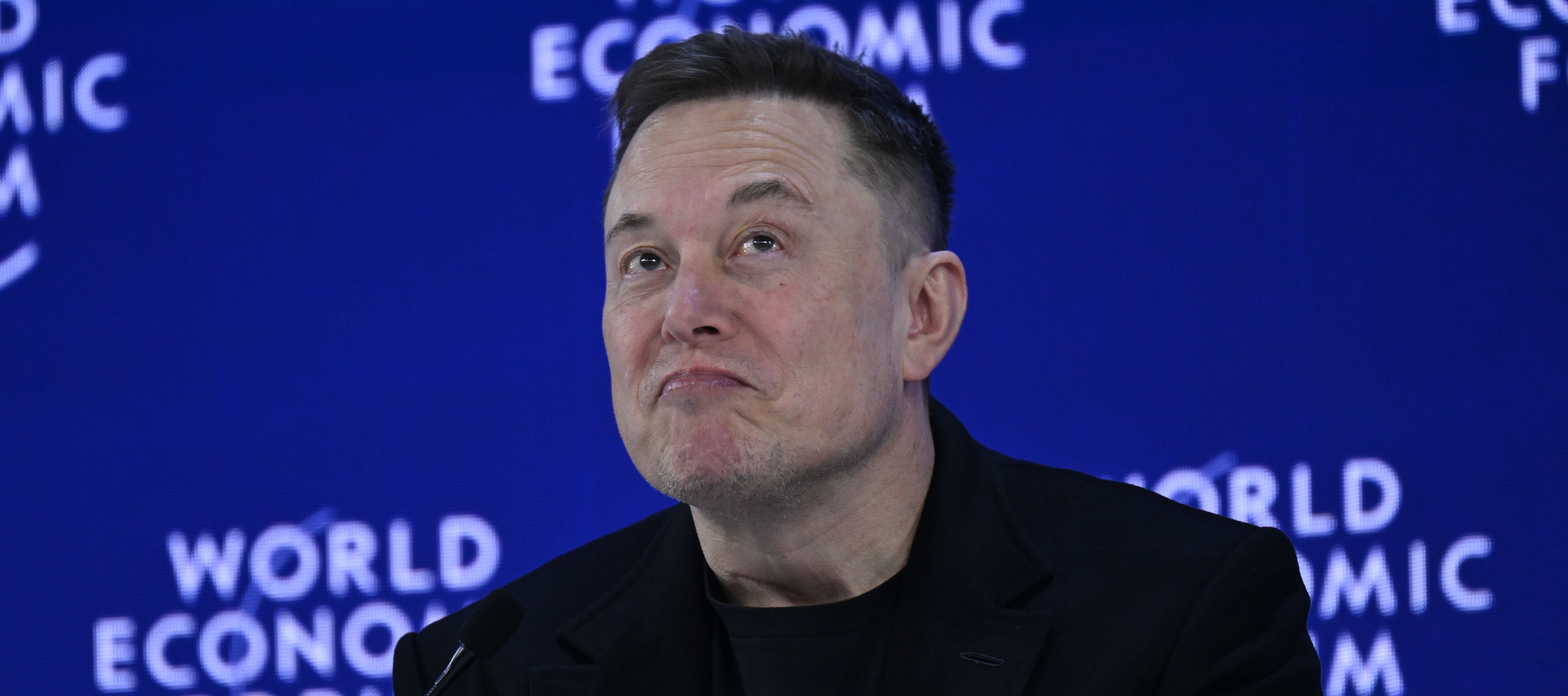 Elon Musk speaks onstage at the World Economic Forum with an amused frown on his face.