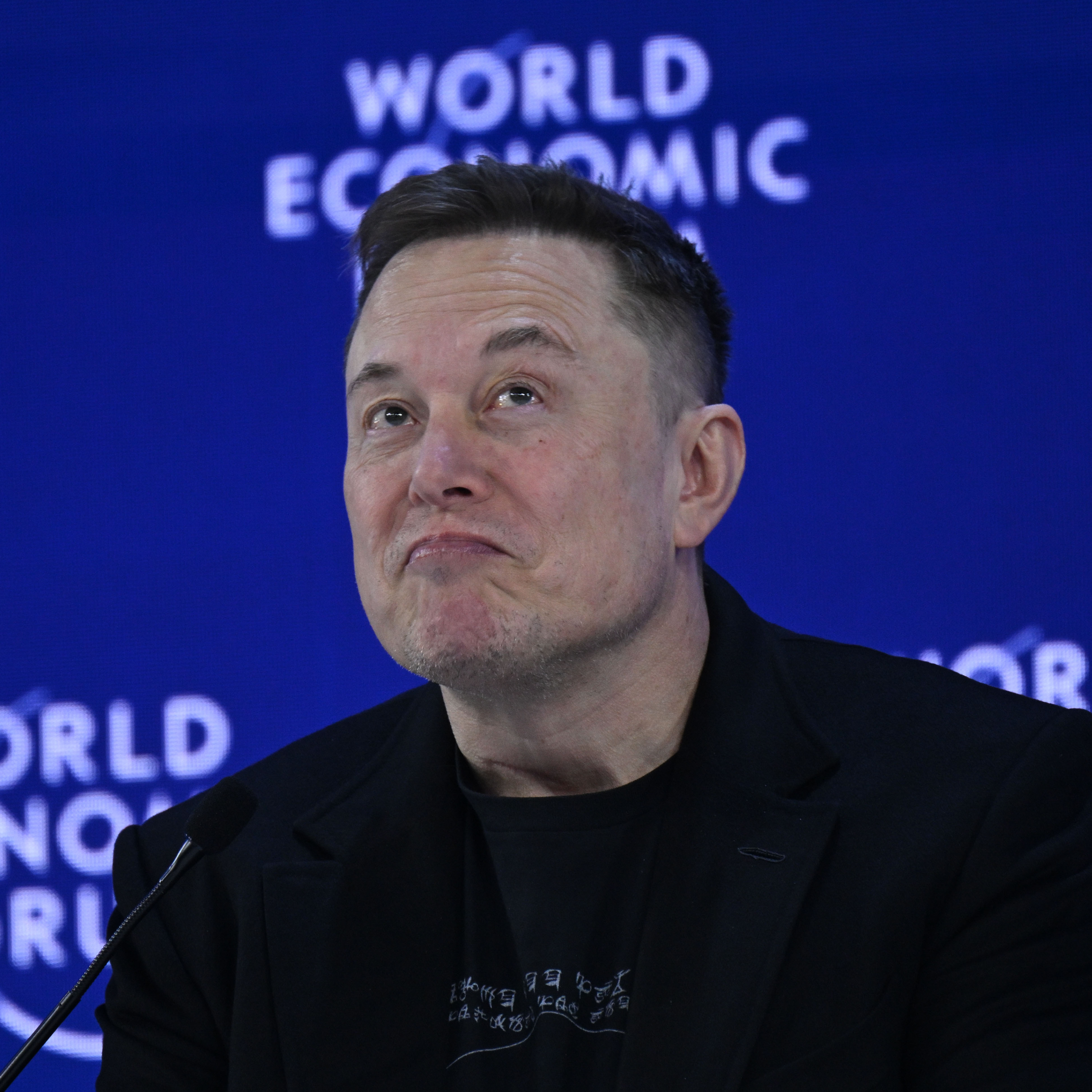 Elon Musk speaks onstage at the World Economic Forum with an amused frown on his face.