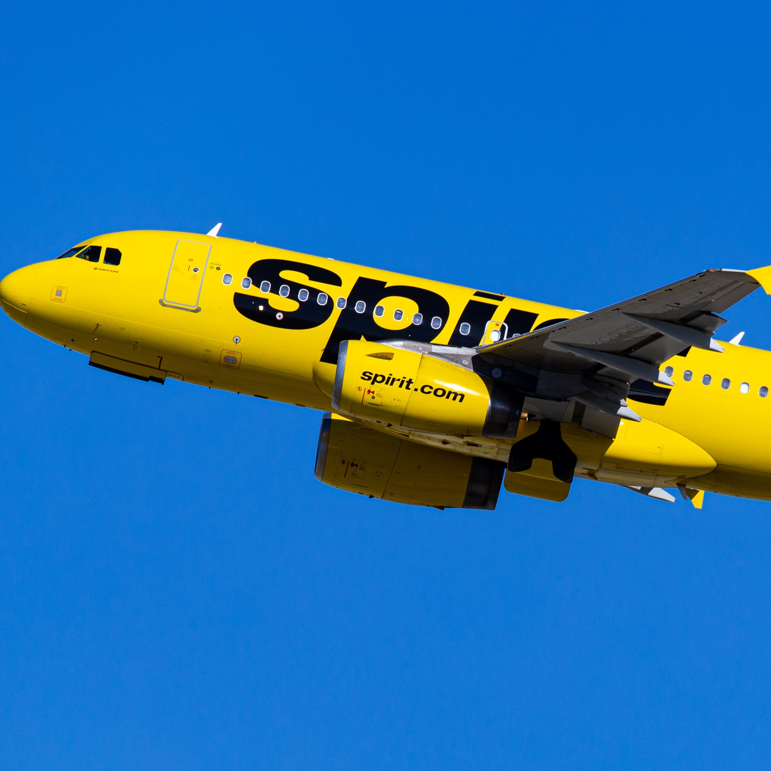A Spirit Airlines plane is seen flying in the sky.