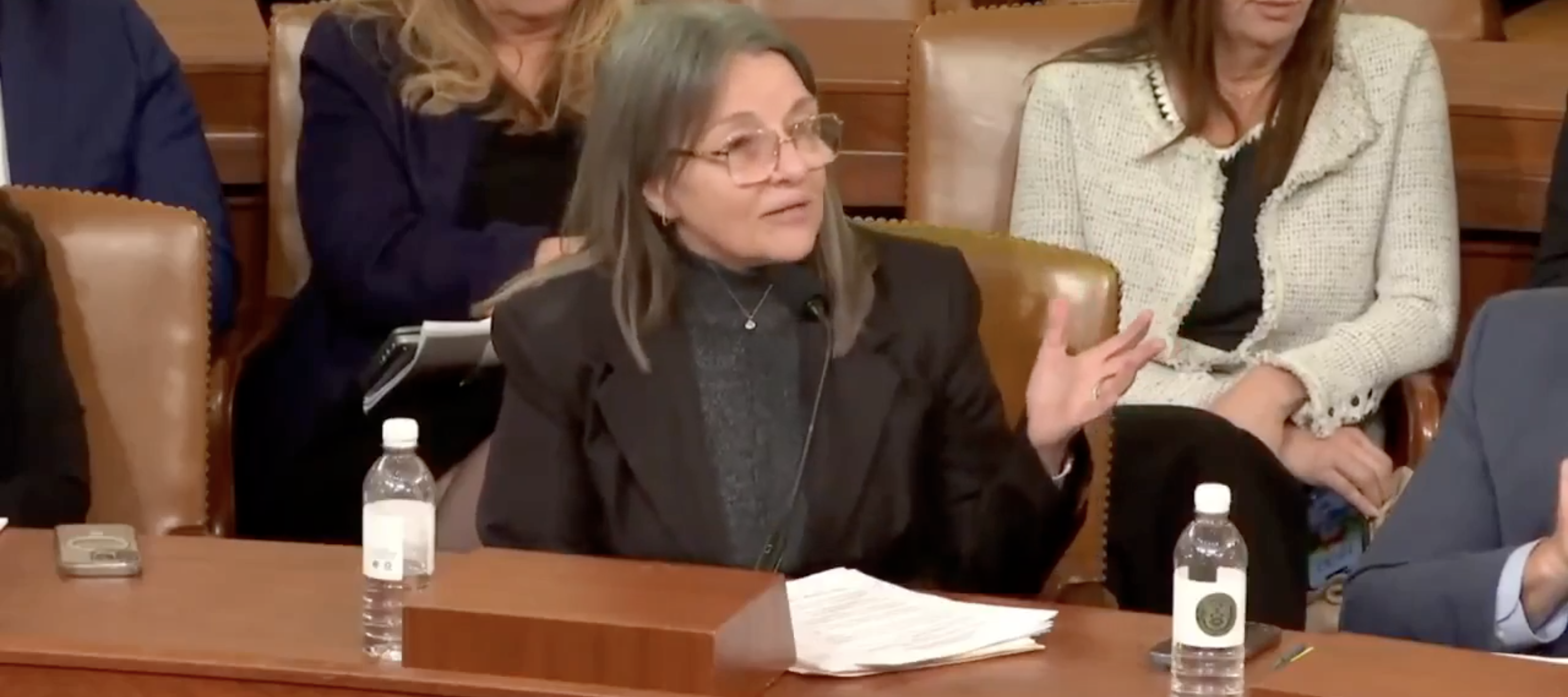 heila Clark, president and CEO of the California Hospice and Palliative Care Association, talks at a recent congressional hearing.