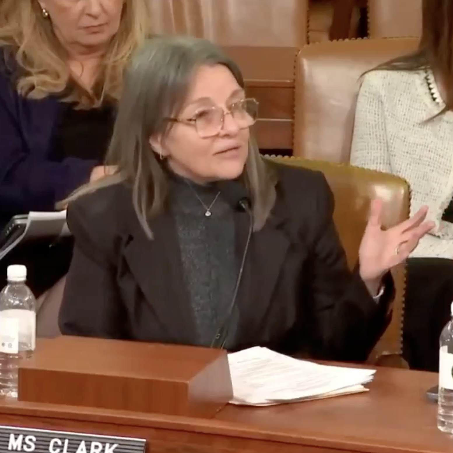 heila Clark, president and CEO of the California Hospice and Palliative Care Association, talks at a recent congressional hearing.