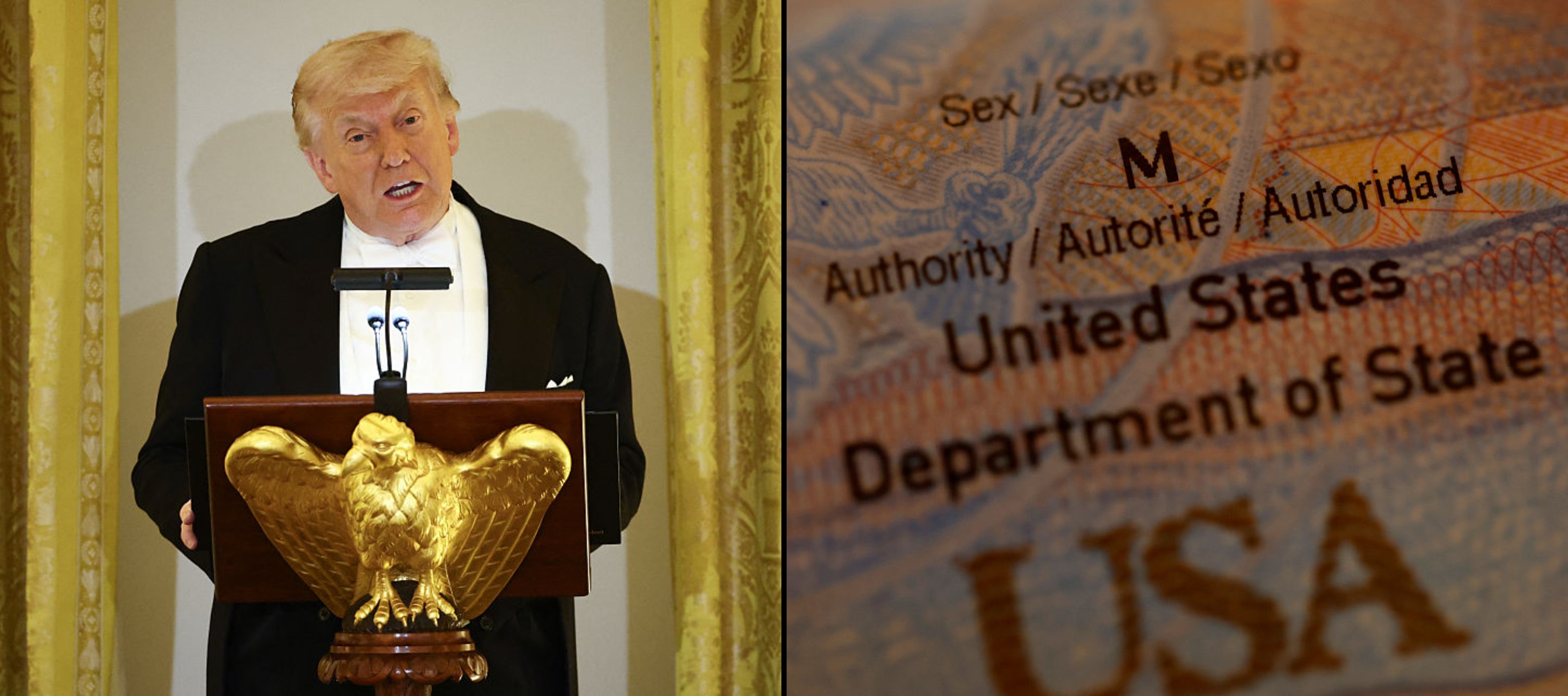 Photo of Trump and a U.S. passport
