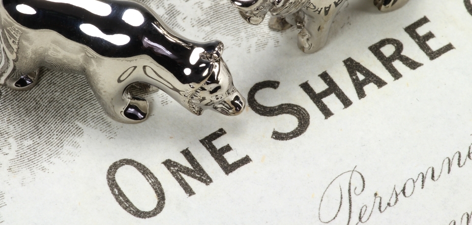 Photo of a stock share and bull and bear