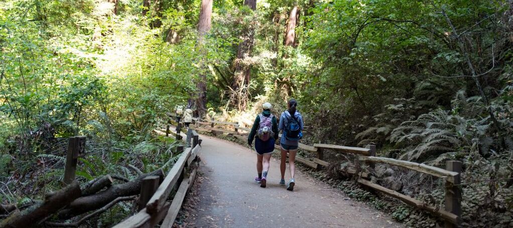 Two hikers walking on a hiking trail on a sunny day.