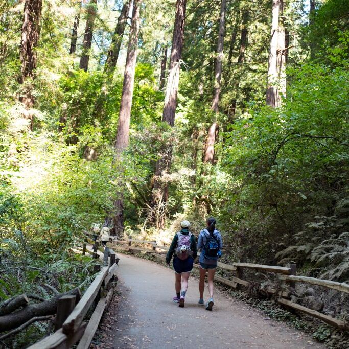 Two hikers walking on a hiking trail on a sunny day.