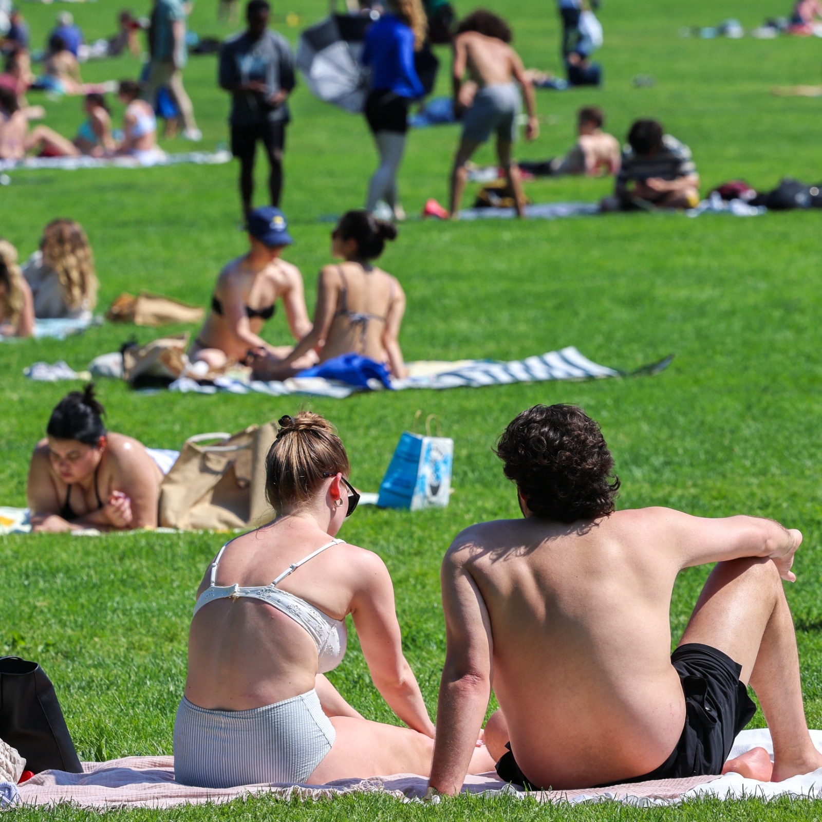 Couples sunbathe on blankets on a sunny day in Central Park in New York City