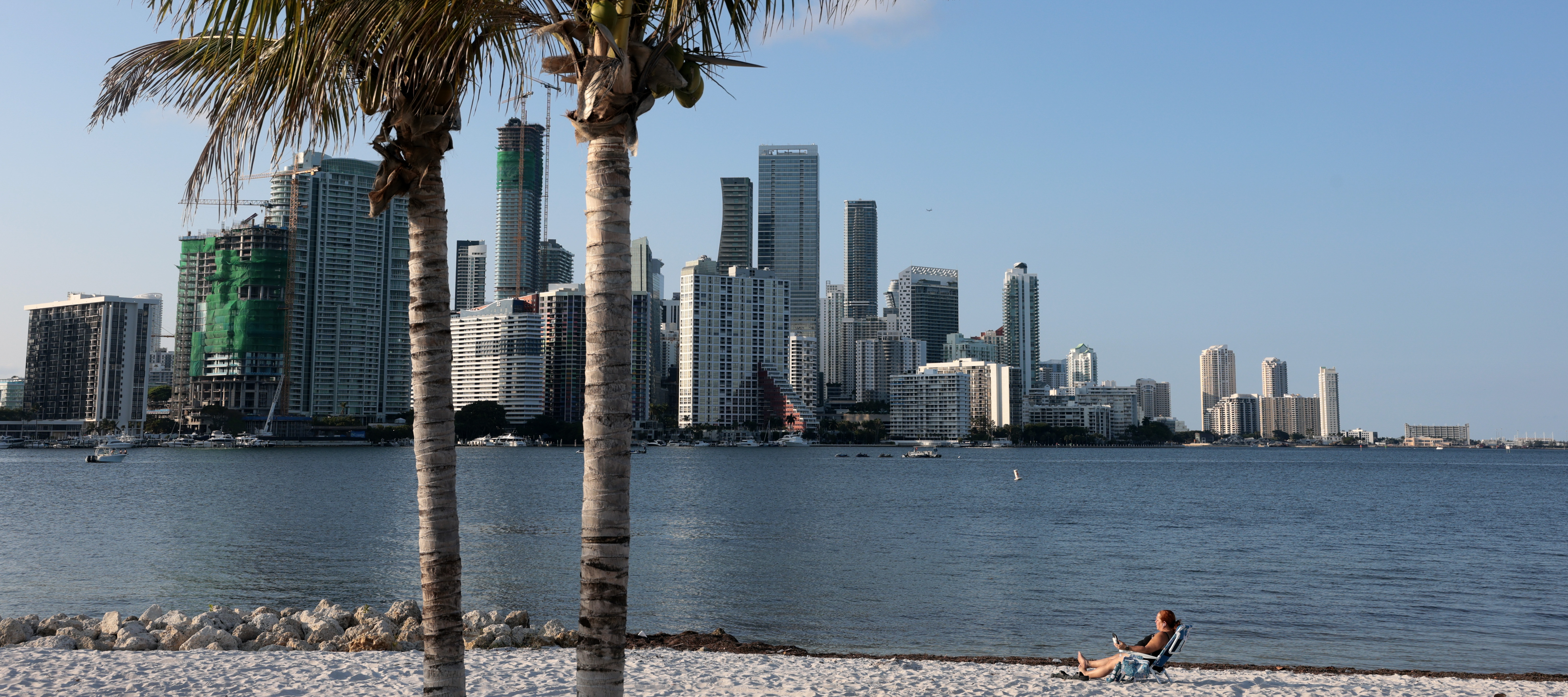 Palm trees in front of Miami, Florida skyline.