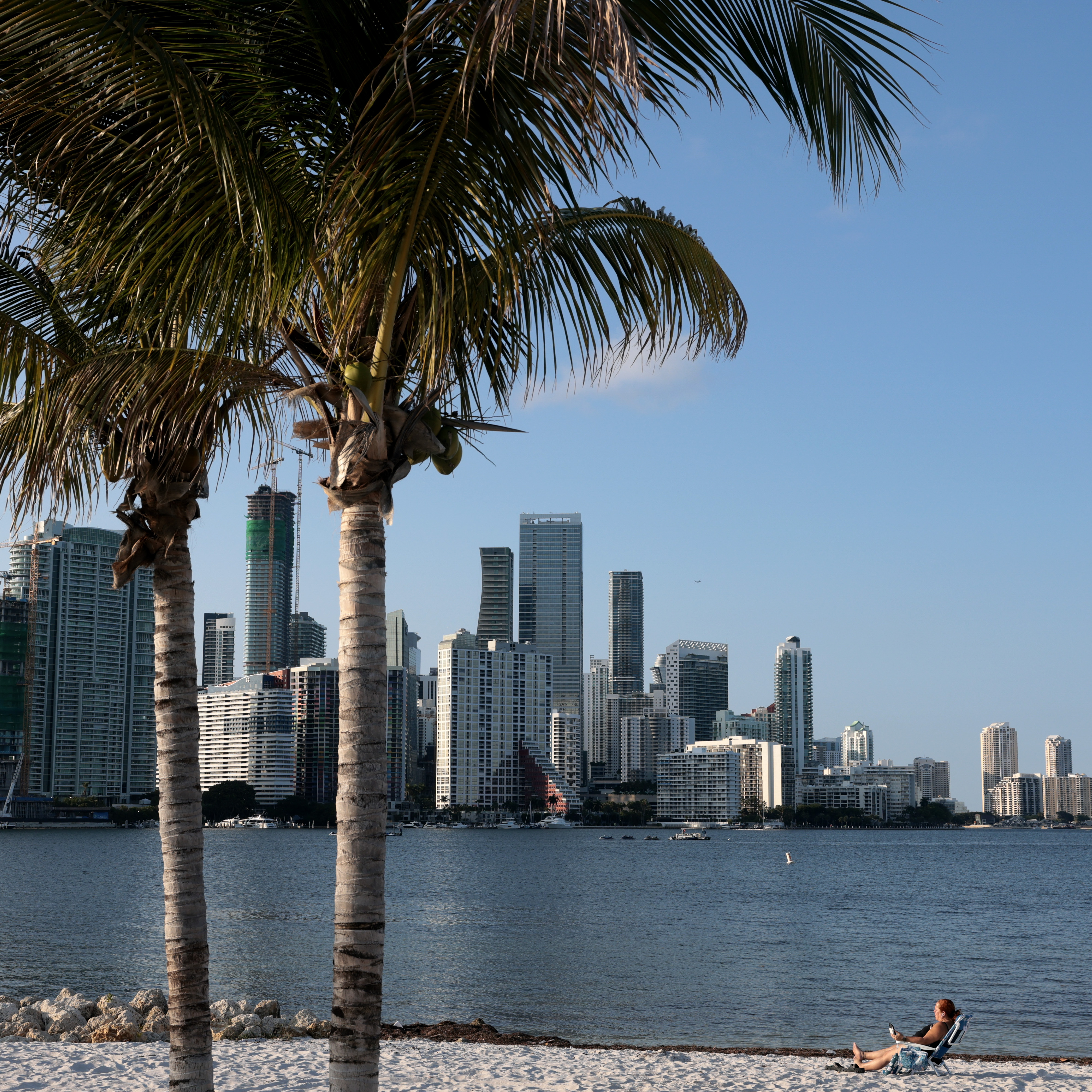 Palm trees in front of Miami, Florida skyline.