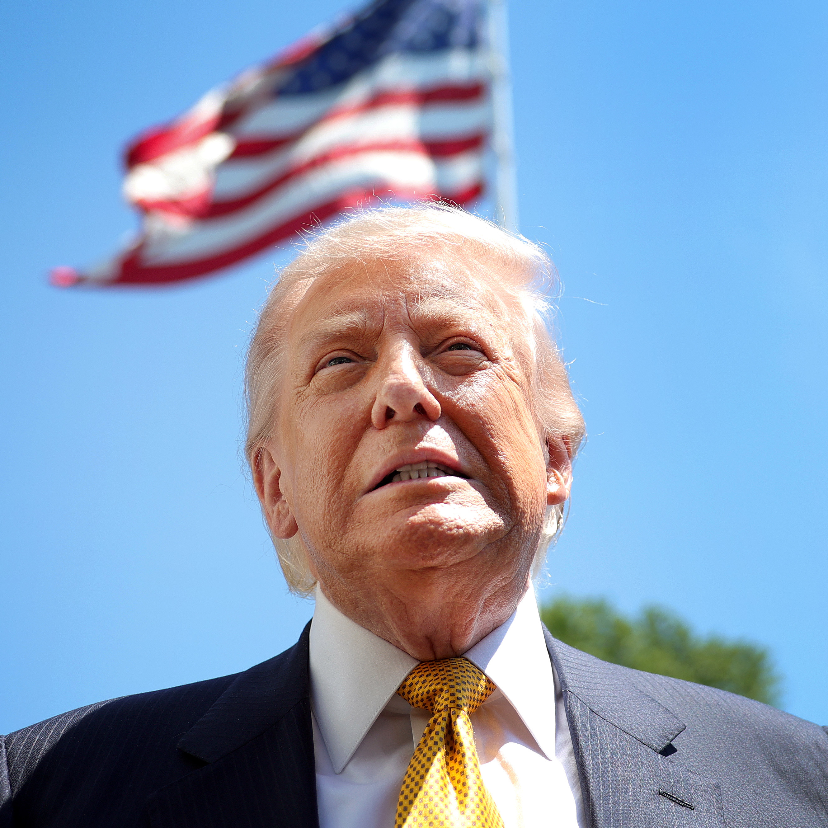 President Donald Trump smiles with the U.S. flag flying high behind him.
