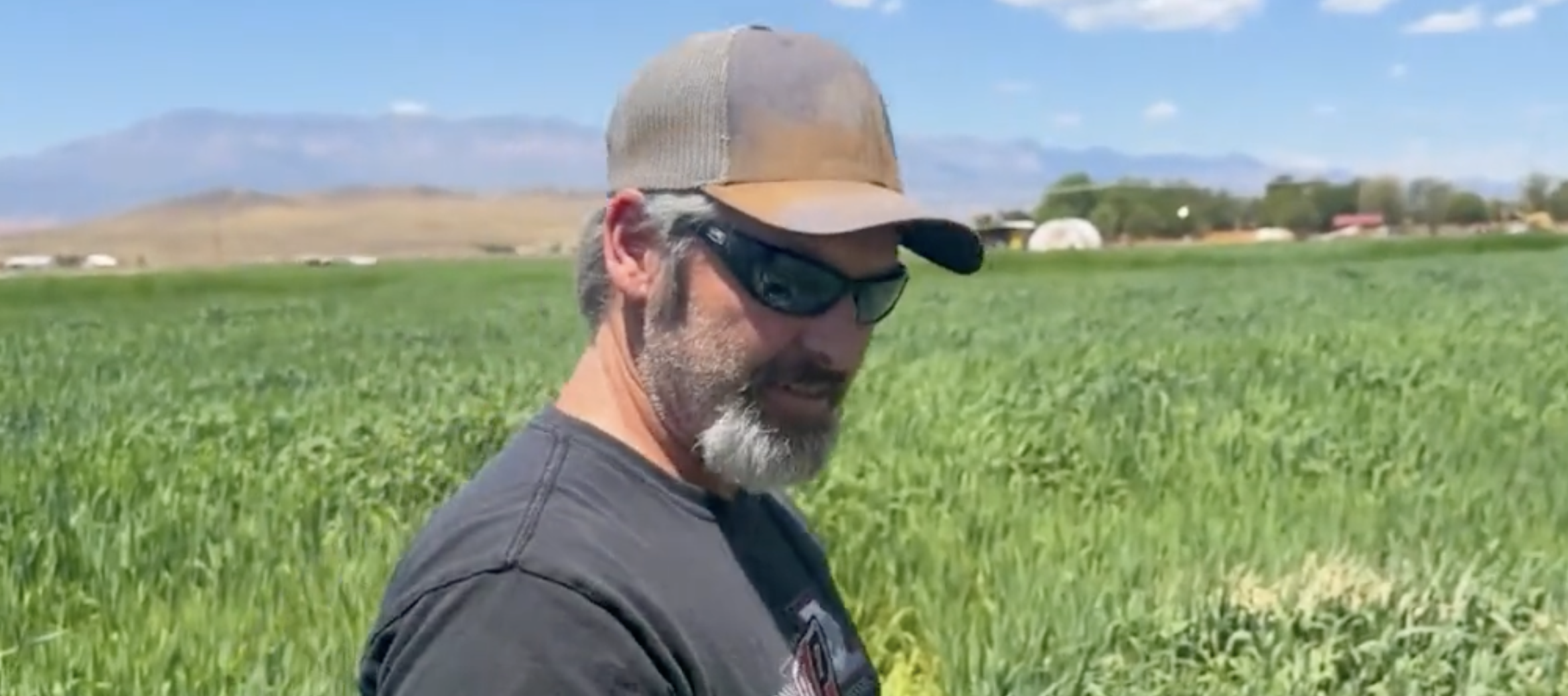 Utah farmer Todd Brown surveys his farmland that was damaged due to TikTokers.