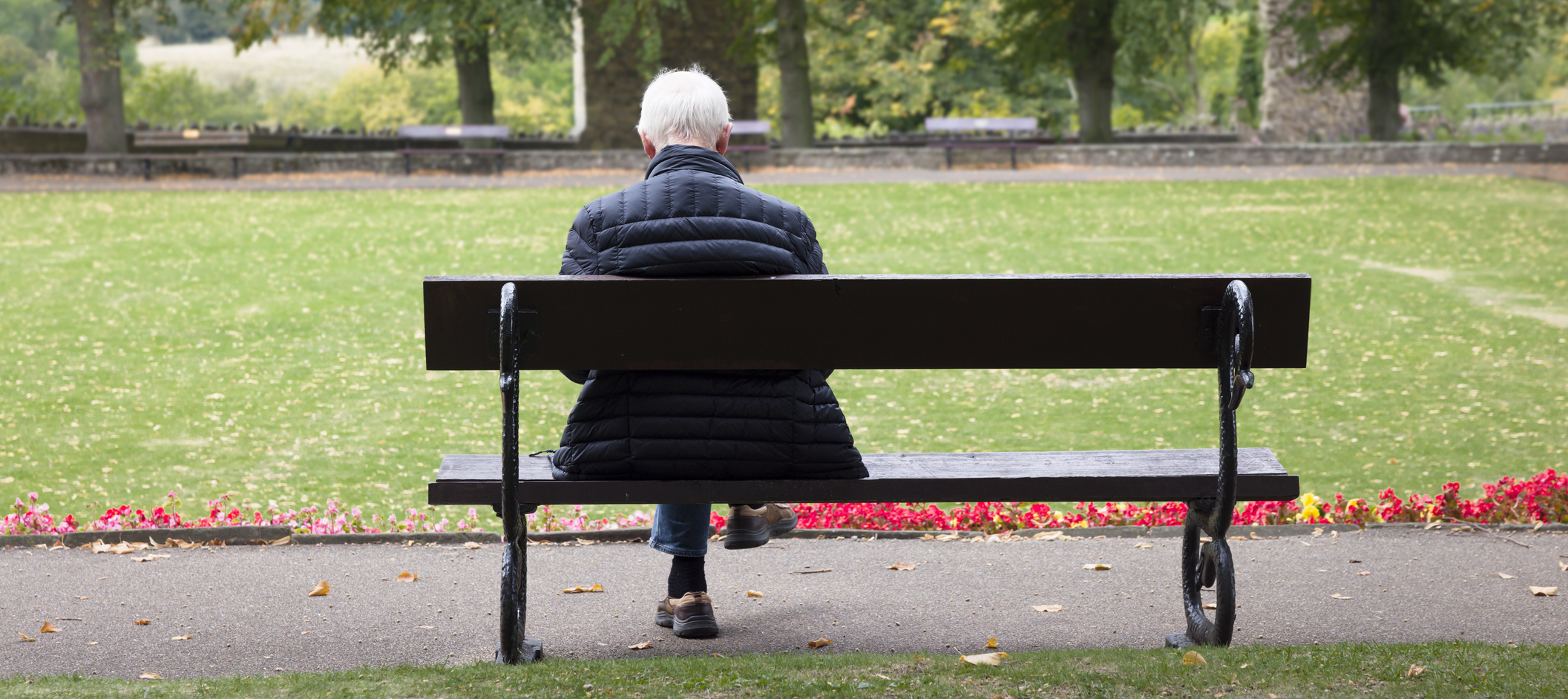 Elderly man sits on a park bench