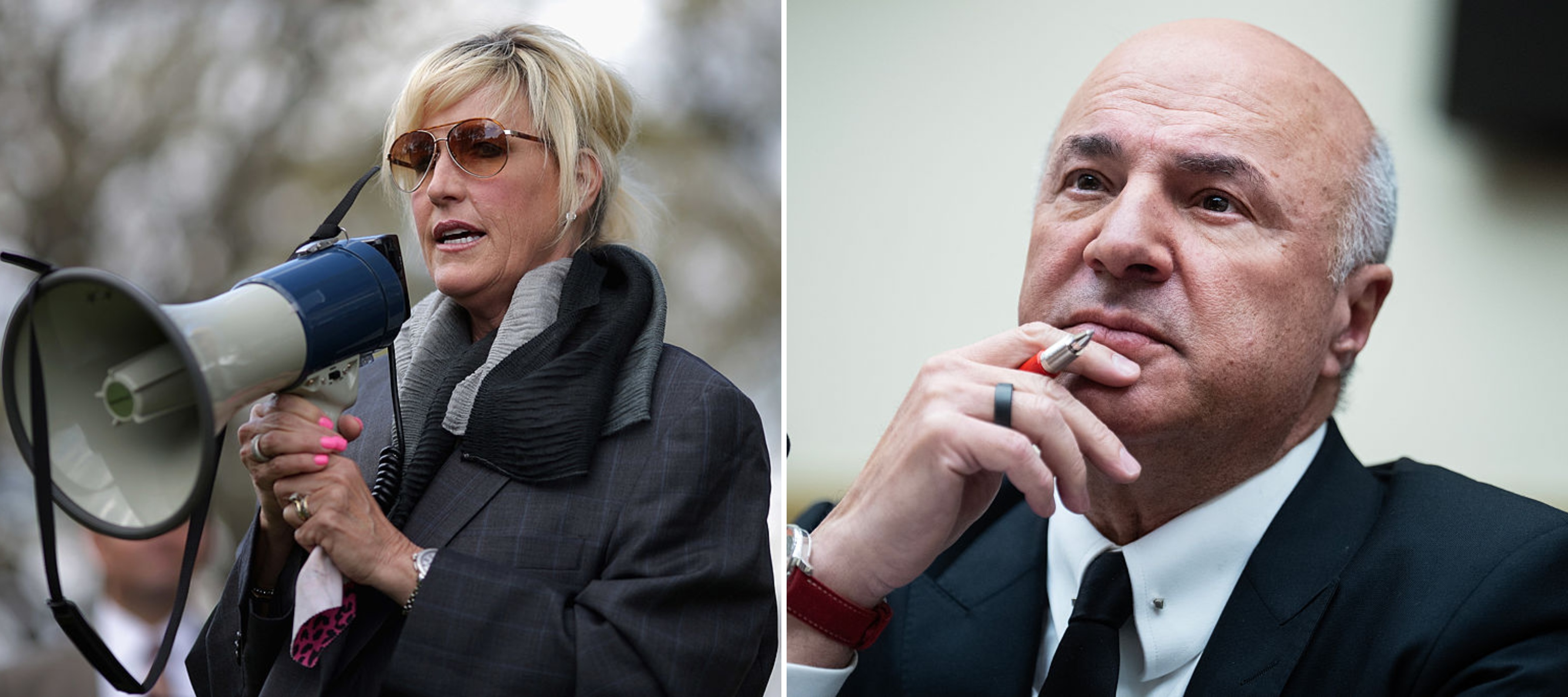 Photos of activist Erin Brockovich and investor Kevin O'Leary