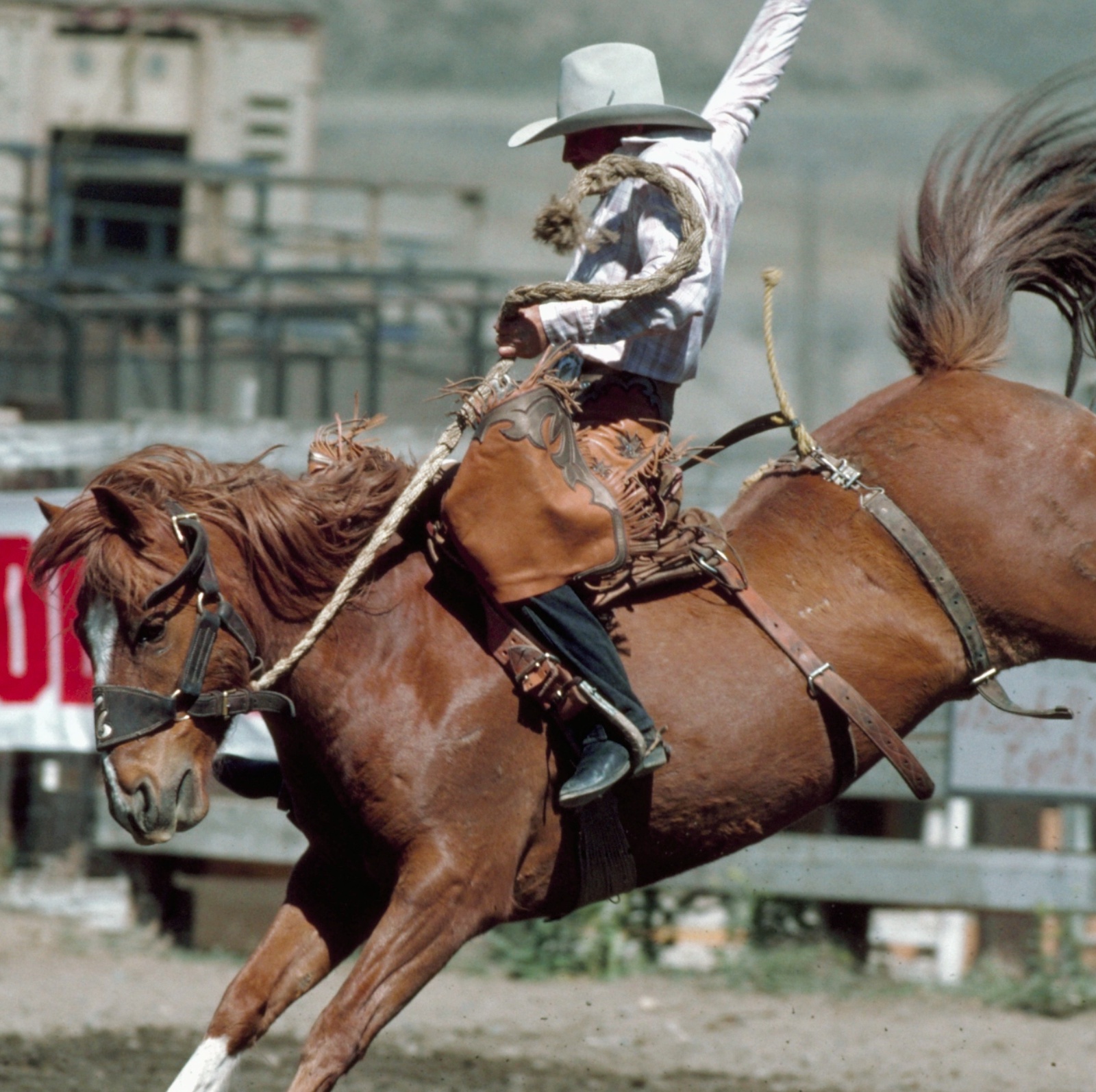 A man holding onto a bucking bronco