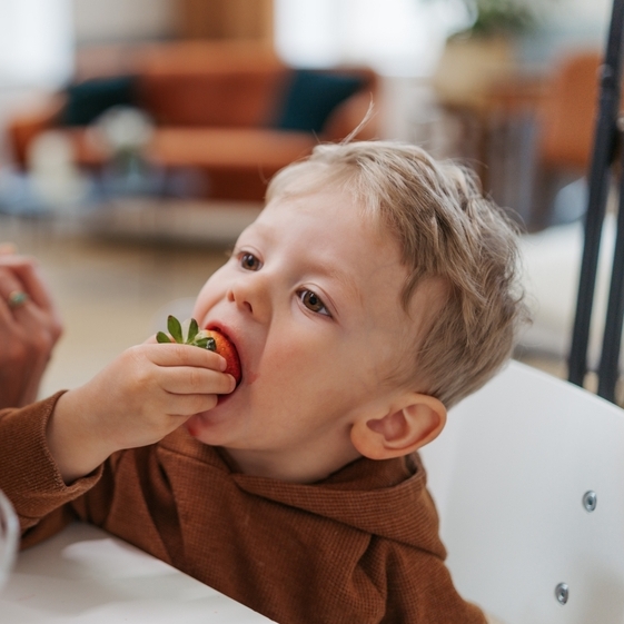 Young child eating strawberries.