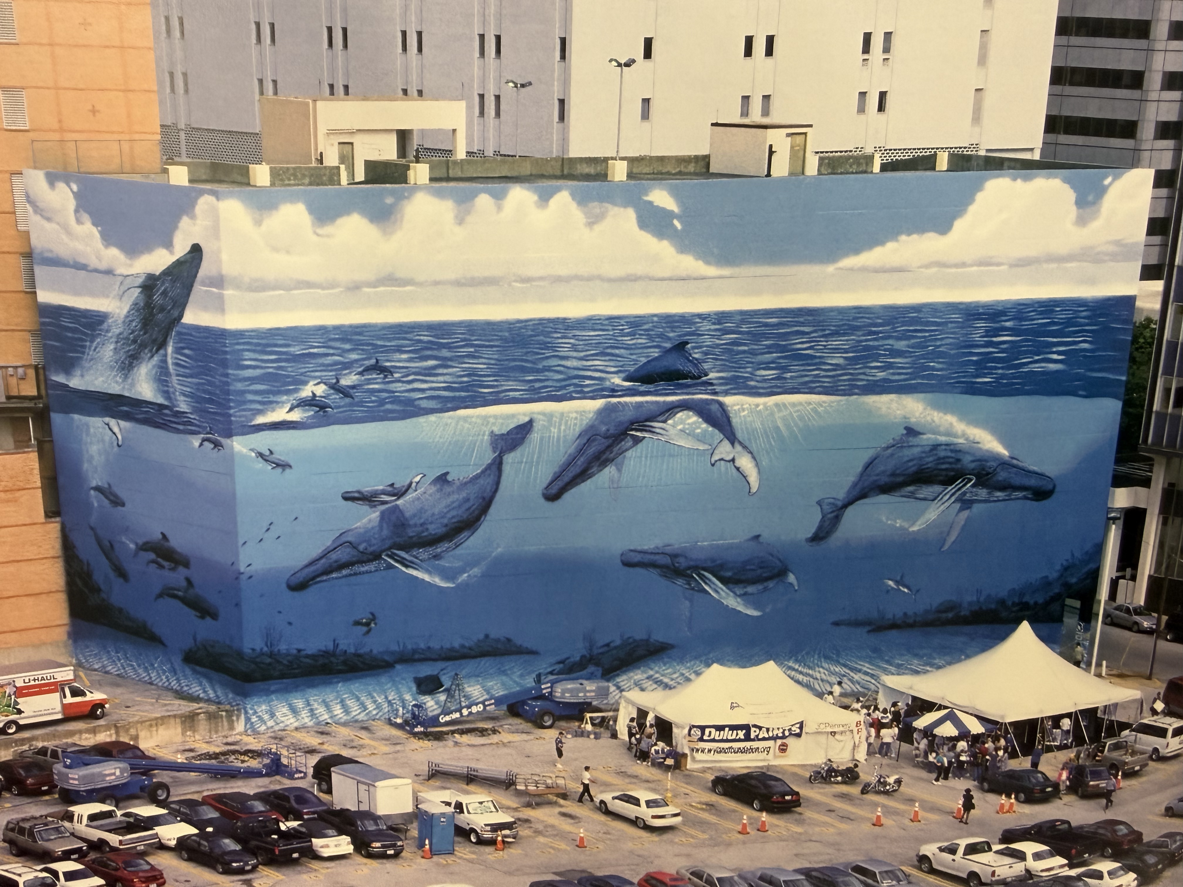 The artist Wyland painted this 17,000-square-foot mural depicting whales swimming in the ocean on a downtown Dallas building in 1999.