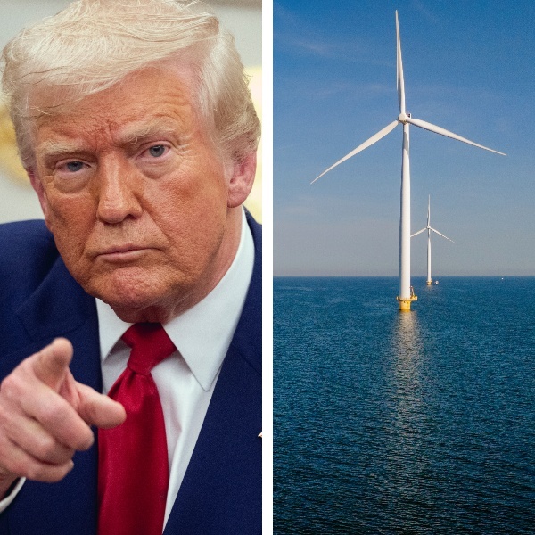 The Trump administration has been dismantling previous green energy initiatives.