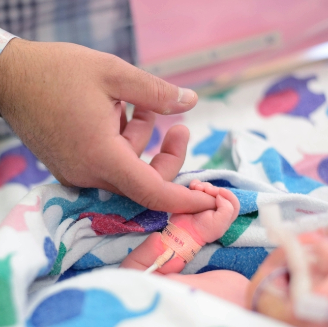 A photo of a parent holding their baby's hand