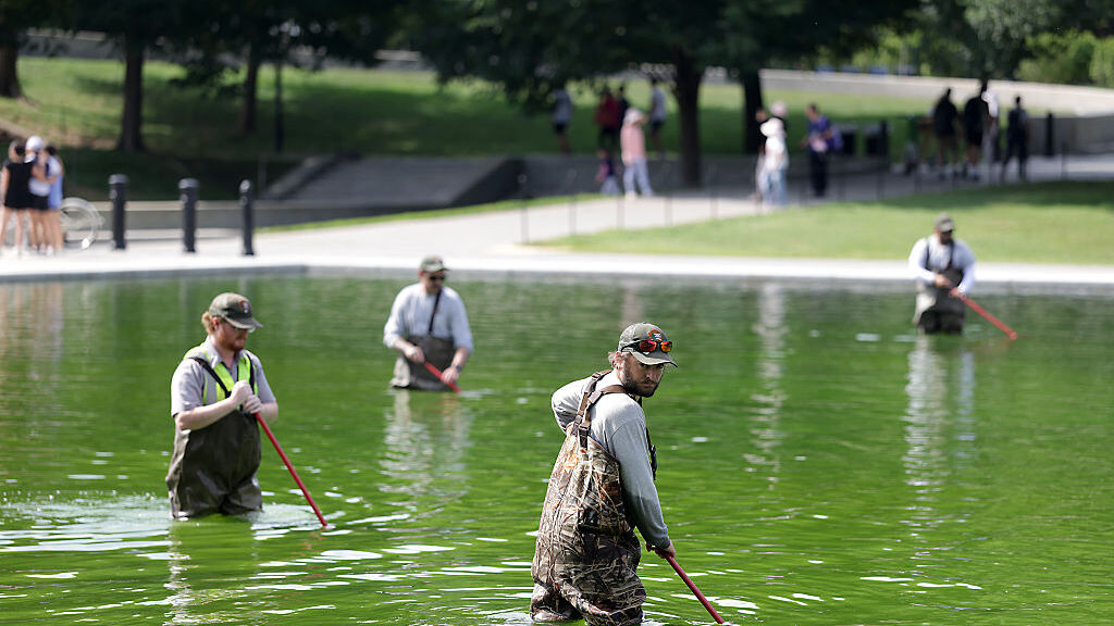 Home reno risks: lessons from the Reflecting Pool