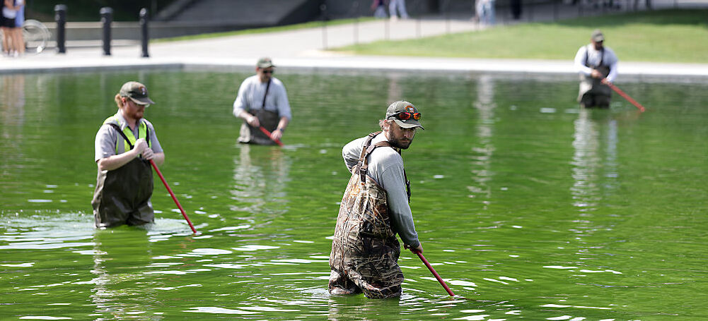 National Park Service employees work to clean up algae in the Lincoln Memorial Reflecting Pool following the completion of recent renovations on June 14, 2026 in Washington, DC.
