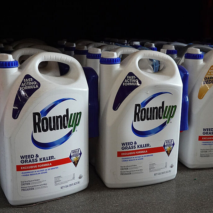 A photo of Bayer Roundup