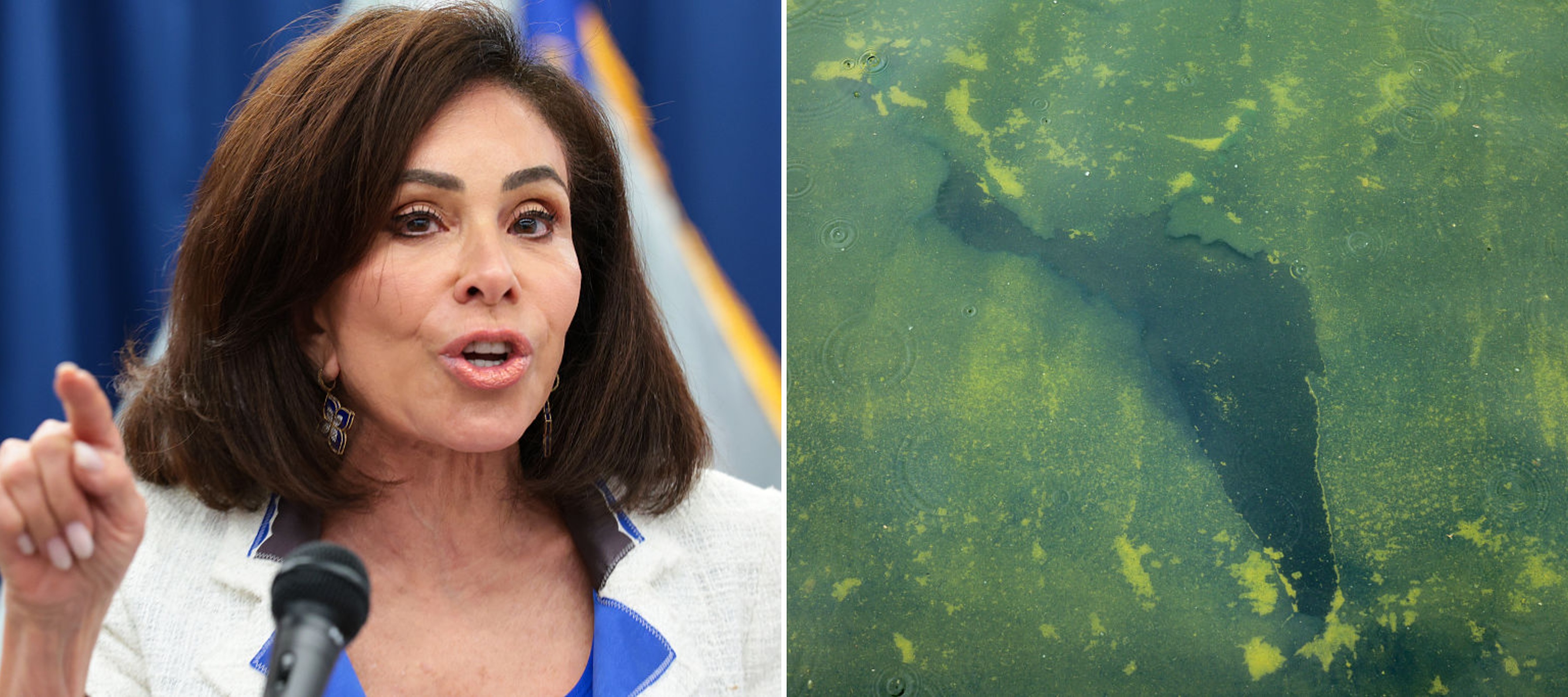 Images of U.S. Attorney Jeanine Pirro and algae in the Lincoln Memorial Reflecting Pool
