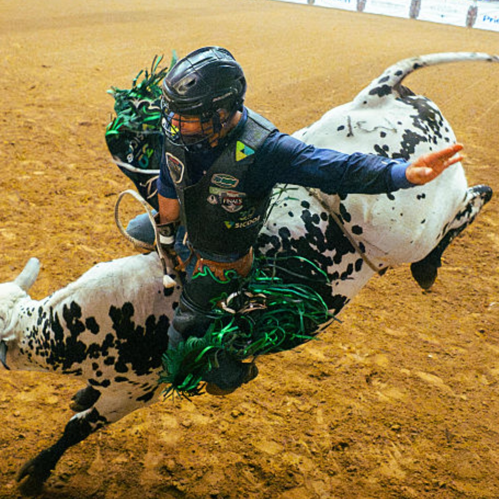 A roughstock rider on a bull at the rodeo in Texas.