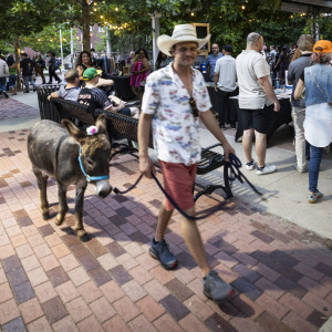 A visitor and his donkey watch the 20th annual Tulsa Tough bike race.