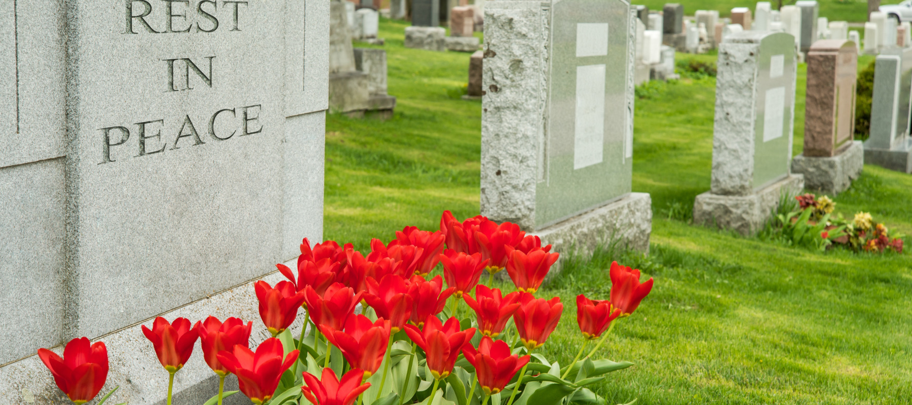 Several headstones are captured side by side in a cemetary.