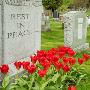 Several headstones are captured side by side in a cemetary.