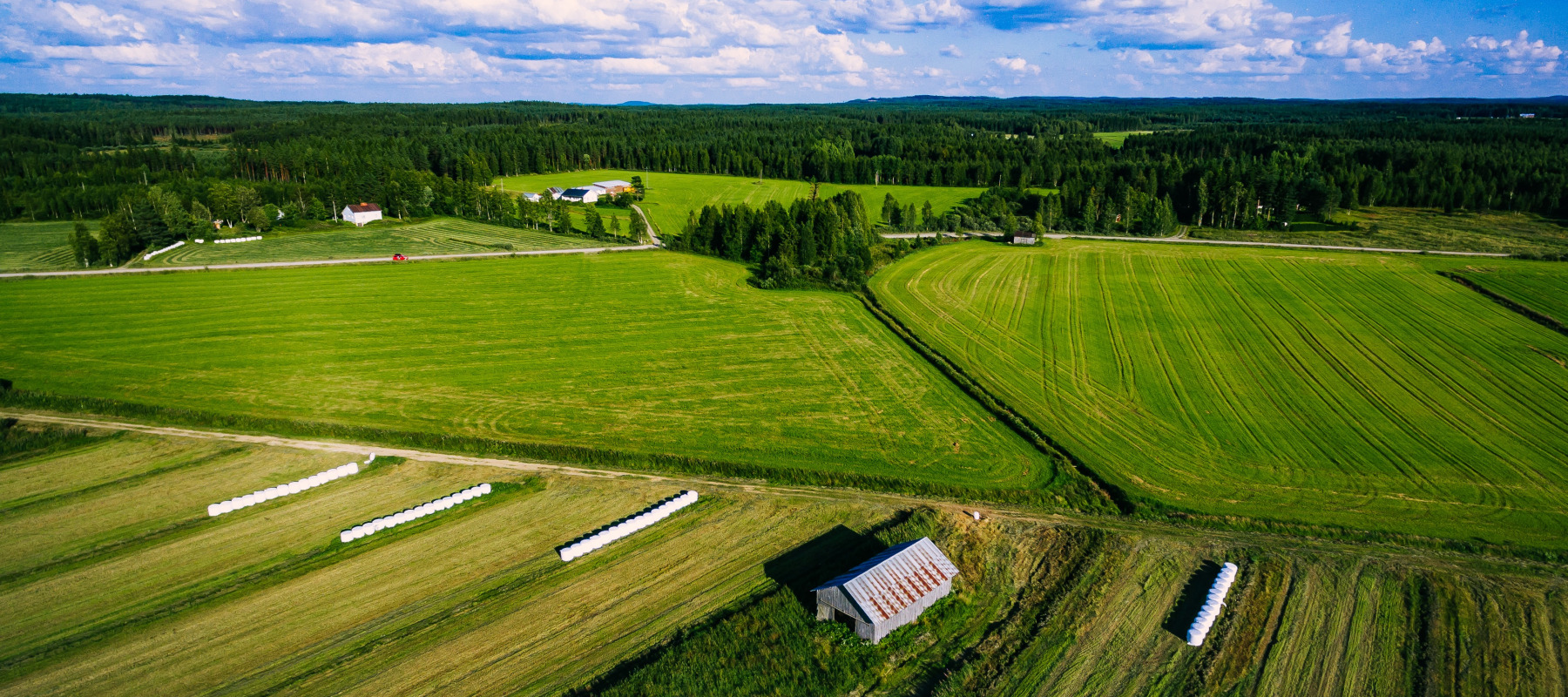 farmland