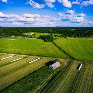 farmland
