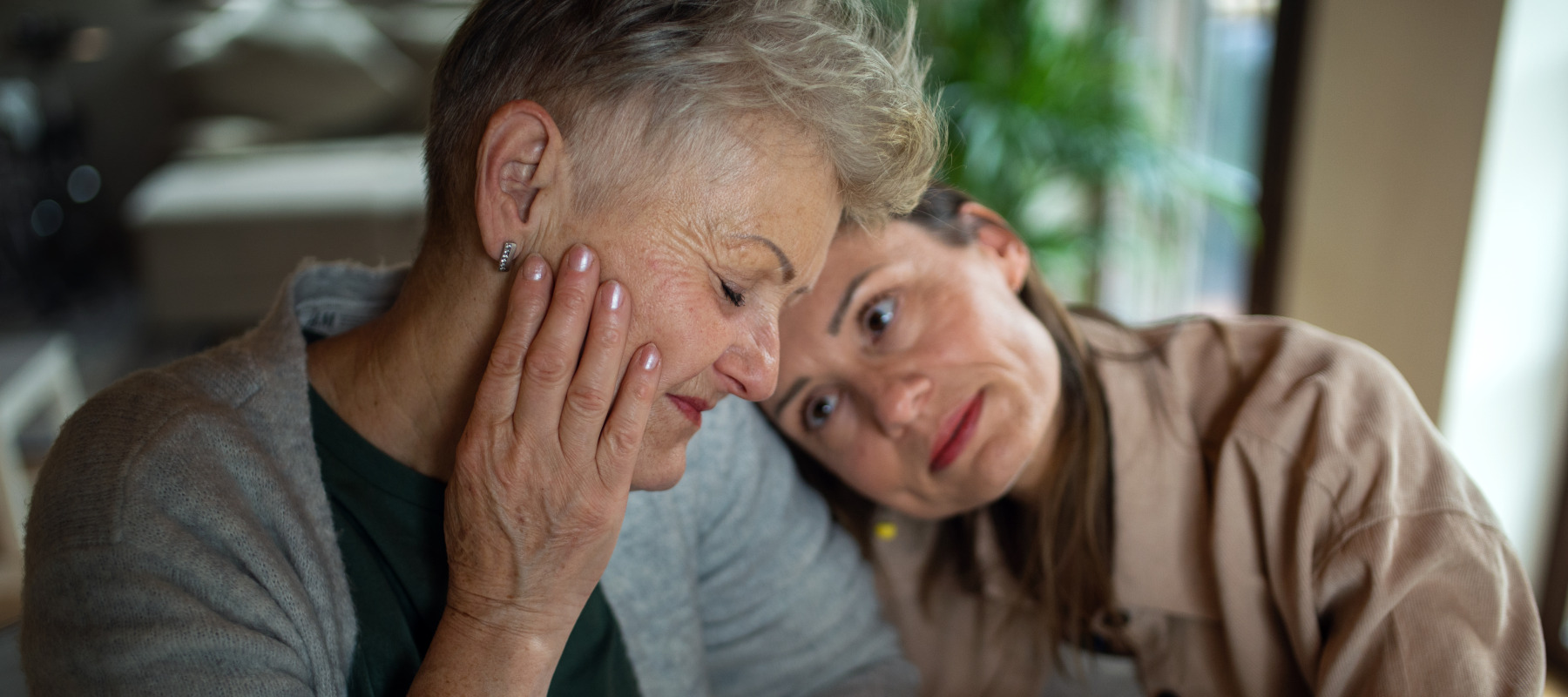 An adult woman with long brown hair rests her head affectionately on a senior woman with short gray hair.