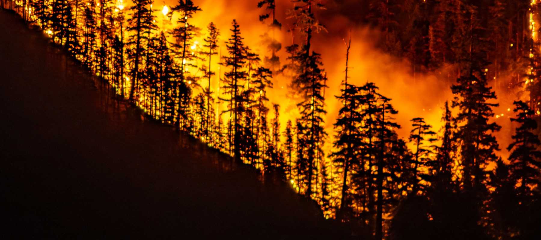 Wildfires like this one in Port Alberni, on Vancouver Island, British Columbia, can be a significant blow to the lumber trade.