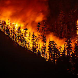 Wildfires like this one in Port Alberni, on Vancouver Island, British Columbia, can be a significant blow to the lumber trade.