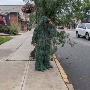 An officer is disguised as a shrub to catch distracted drivers on their cell phones.