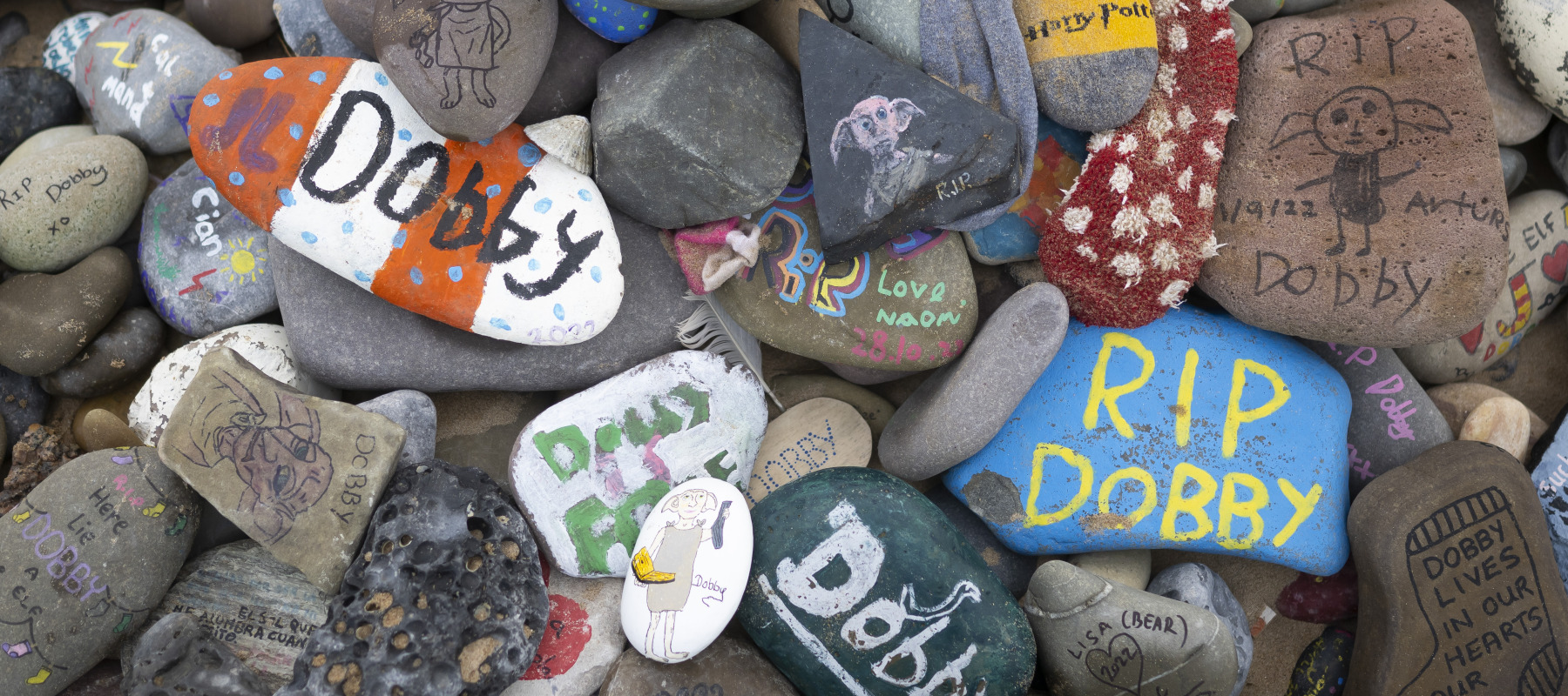 A close-up of painted stones left at a memorial in tribute to Dobby.