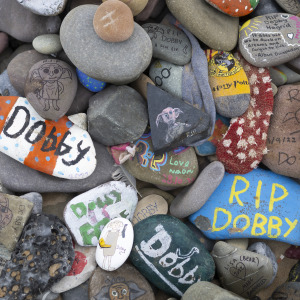 A close-up of painted stones left at a memorial in tribute to Dobby.