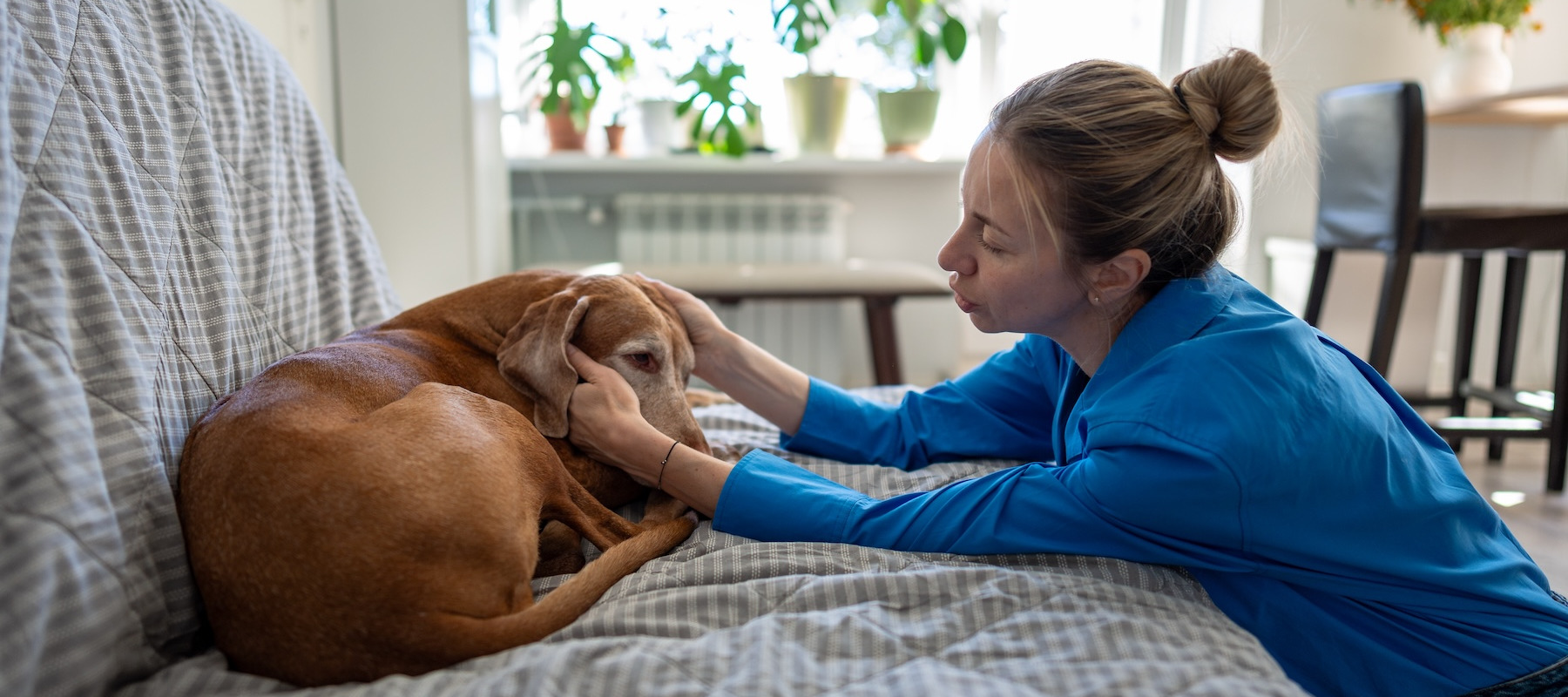 Woman sitting with her sick dog.