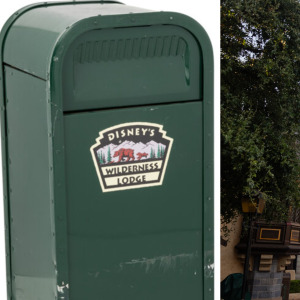 trash can and disneyland