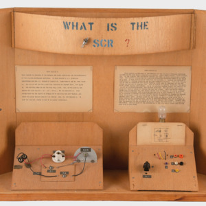Steve Jobs' project