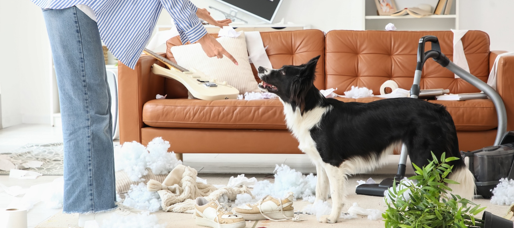 Woman scolding her dog after it made a mess.