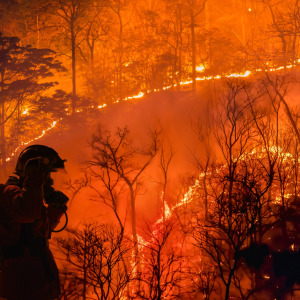 A split-panel photo of the Polymarket app and LA wildfires