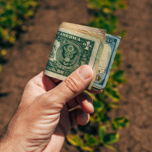 Hand holding a stack of cash in front of a farmer's field.