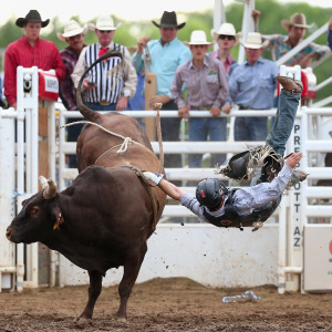 What goes up must come down, and that applies to bull markets as well as bull riding..