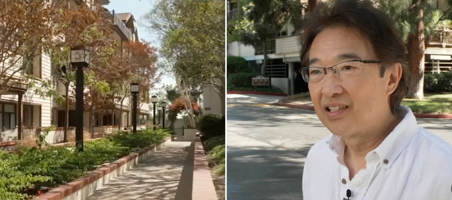 Stephen Wang