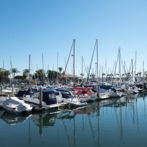 Marina Del Rey Sailboats and motorboats moored in a harbor on a sunny day in the Marina del Rey neighborhood of Los Angeles, California.